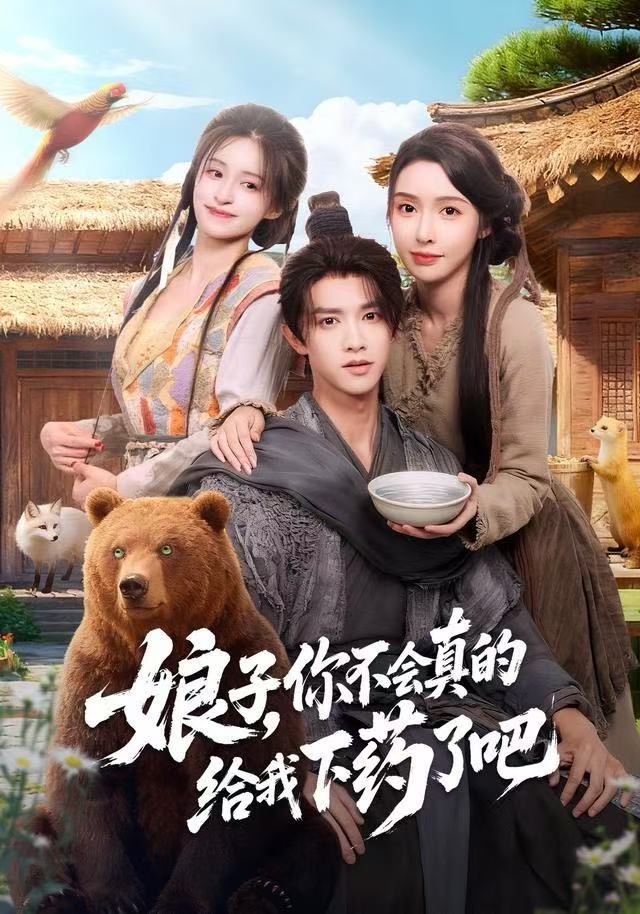 娘子你不会真的给我下药了吧-古代穿越海报