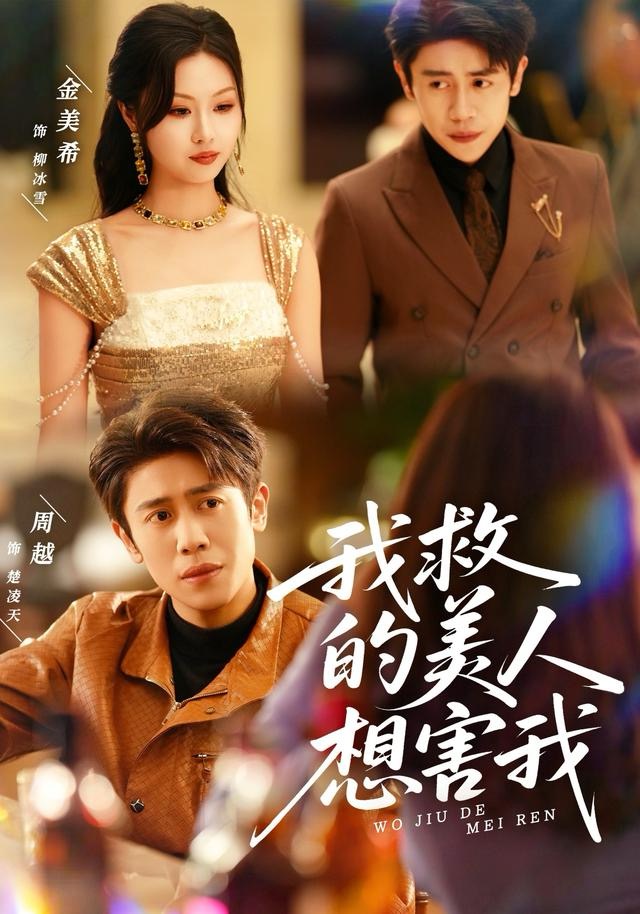 我救的美人想害我-都市言情海报