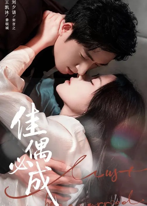 佳偶必成-现代甜蜜海报
