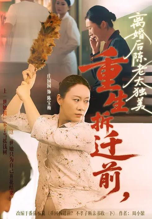 重生拆迁前离婚后陈老太独美-现代重生海报