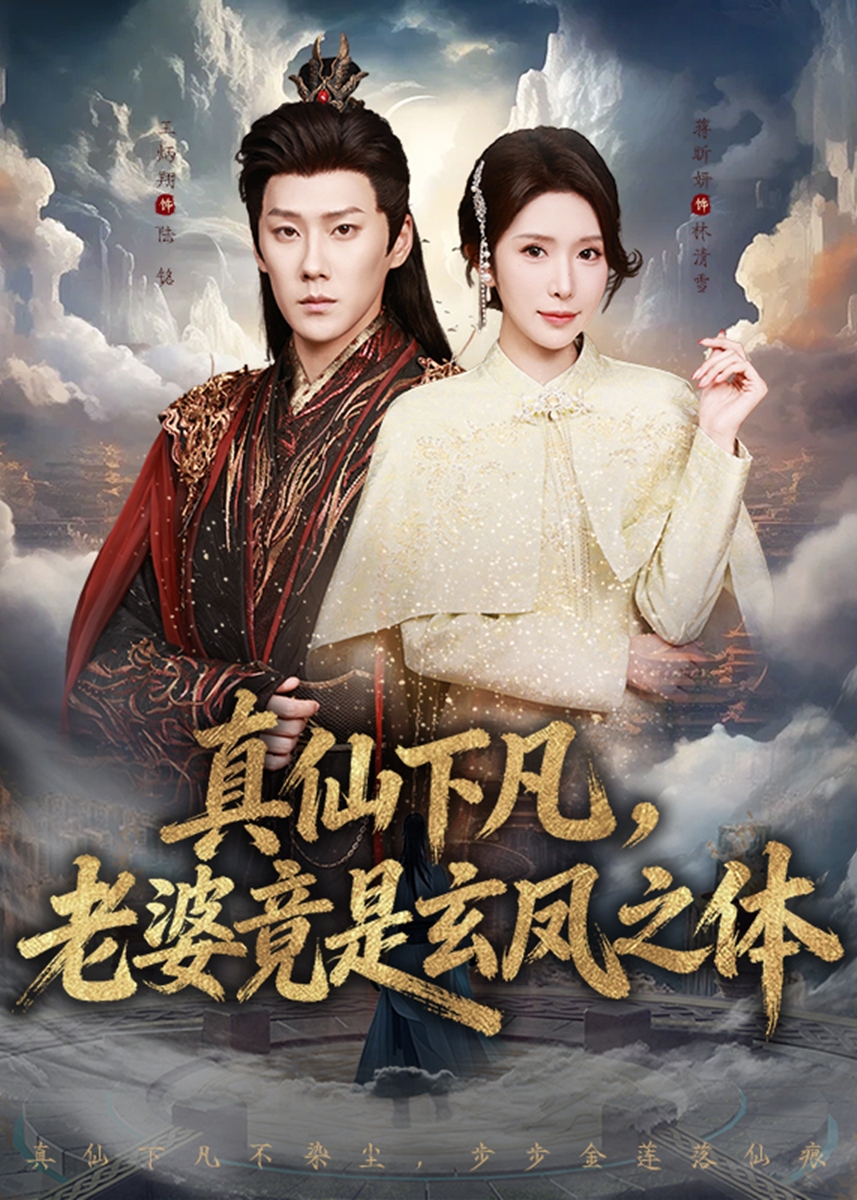 真仙下凡老婆竟是玄凤之体-古代玄幻海报