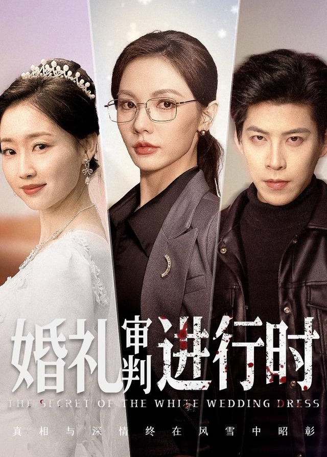 婚礼审判进行时-都市言情海报