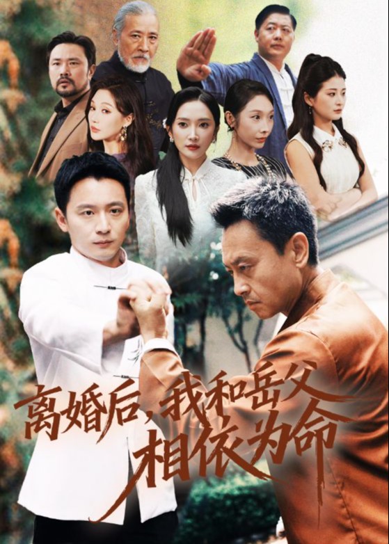 离婚后我和岳父相依为命-都市日常海报