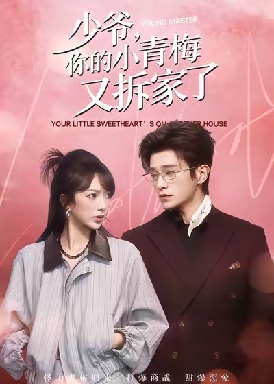 少爷你的小青梅又拆家了-都市言情海报