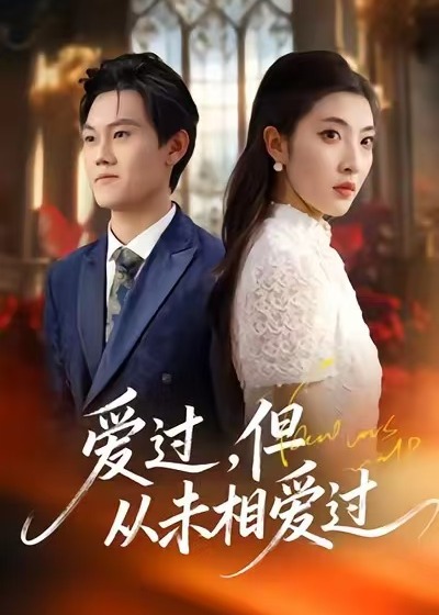 爱过但从未相爱过-都市言情