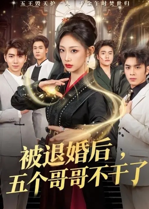 被退婚后五个哥哥不干了-家庭情感海报
