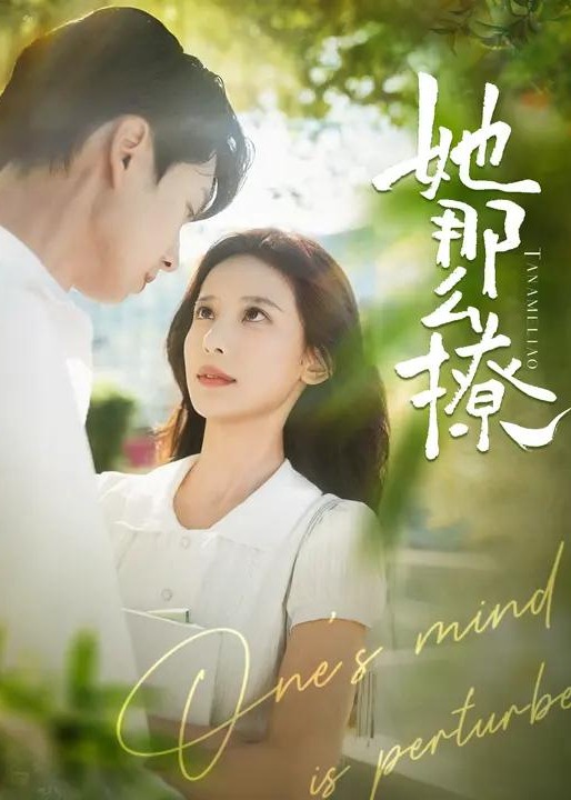 她那么撩-青春校园海报