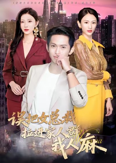 误把女总裁拉进家人群我人麻-都市言情海报