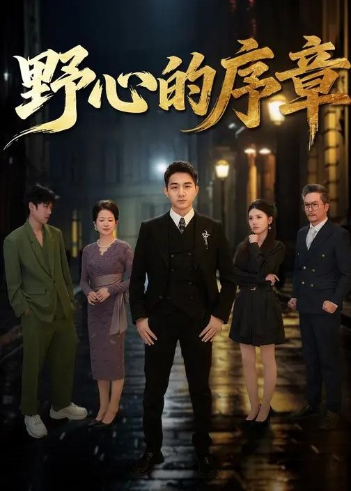野心的序章-家庭情感海报