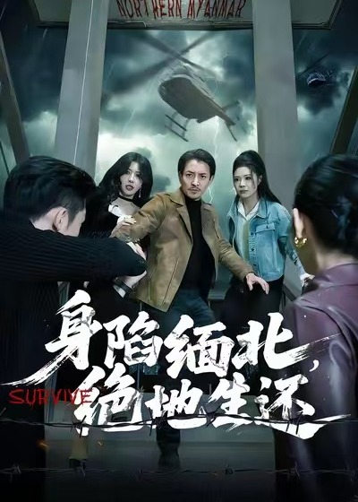 身陷缅北绝地生还-都市逆袭海报