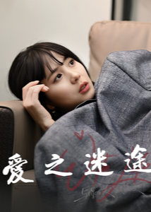 爱之迷途-现代悬疑