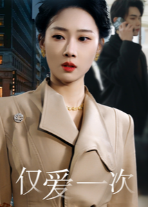 仅爱一次-都市言情海报