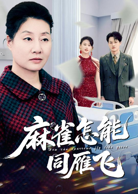 麻雀怎能同雁飞-家庭情感海报