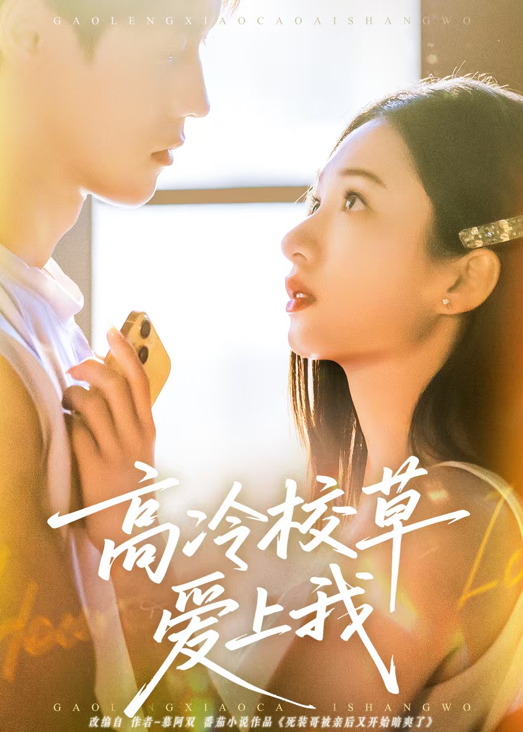 高冷校草爱上我-现代甜蜜海报