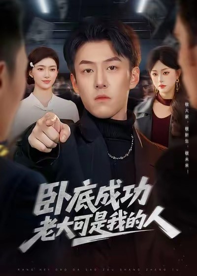 卧底成功老大可是我的人-都市日常海报