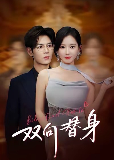 双向替身-都市情感海报