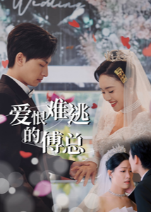 爱恨难逃的傅总-都市言情海报