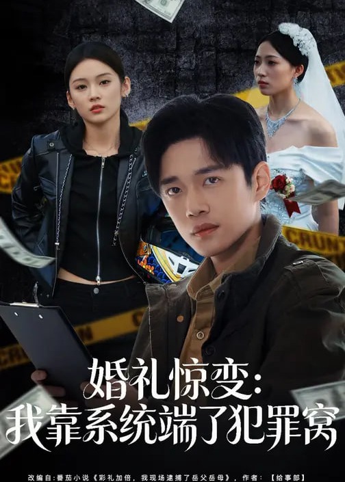 婚礼惊变我靠系统端了犯罪窝-奇幻异能
