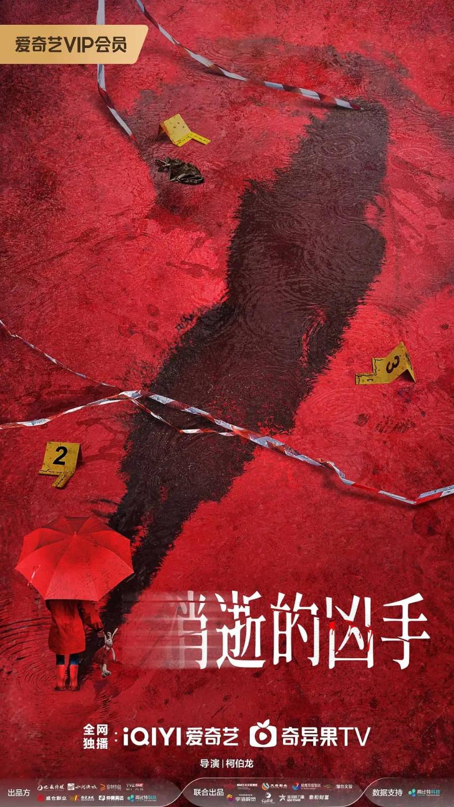 消逝的凶手海报