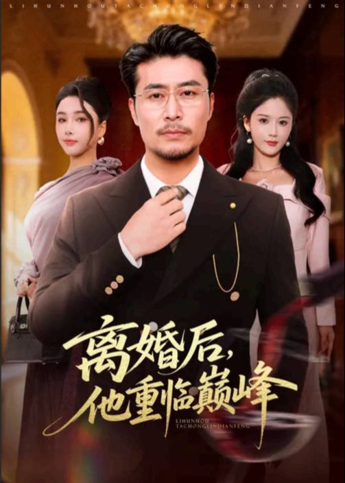 离婚后他重临巅峰-家庭情感海报