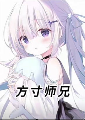 方寸师兄-动漫海报