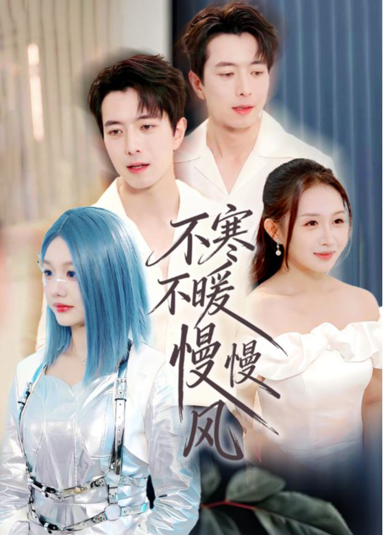 不寒不暖慢慢风-都市言情海报