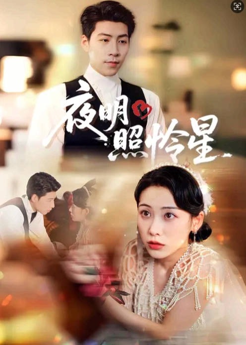 夜明照怜星-都市言情