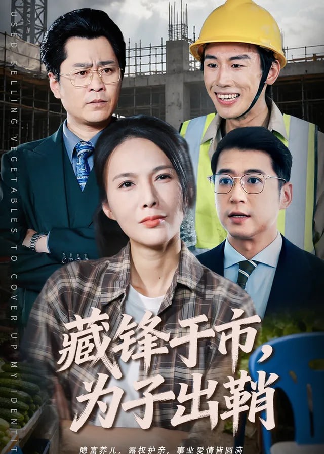 藏锋于市为子出鞘-都市日常海报