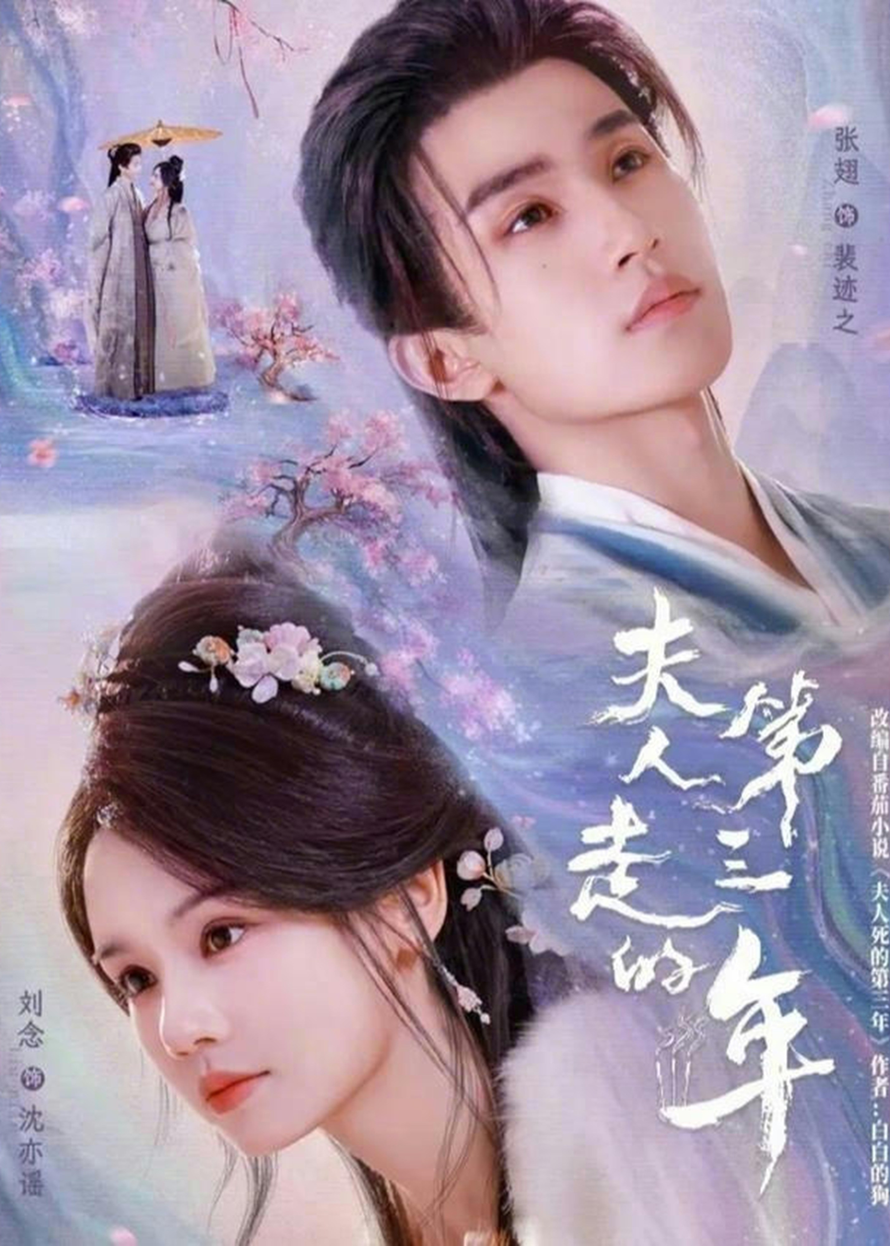 夫人走的第三年-奇幻异能海报