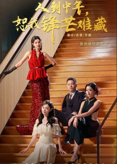 人到中年恕我锋芒难藏-都市言情海报