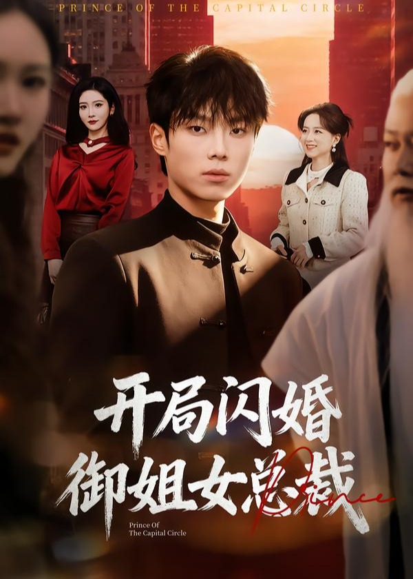 开局闪婚御姐女总裁-都市爱情海报