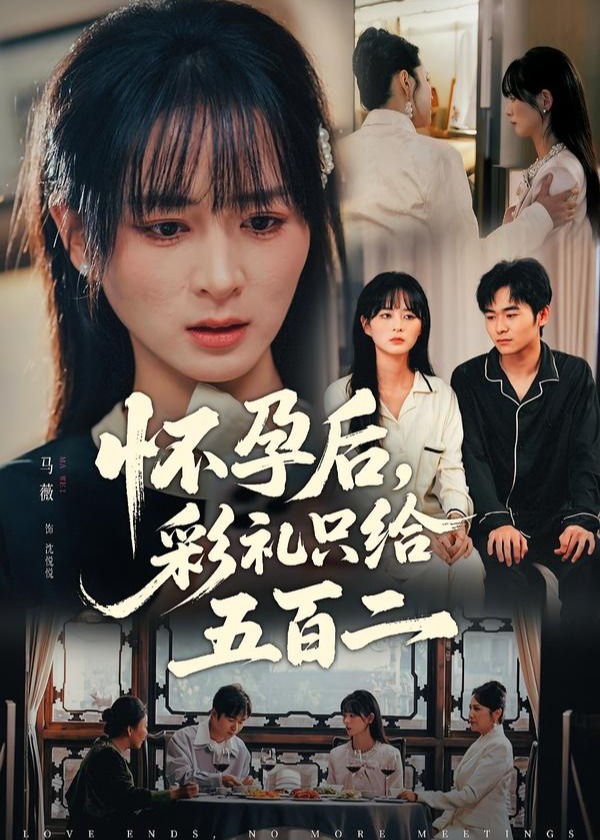 怀孕后彩礼只给五百二-都市情感海报
