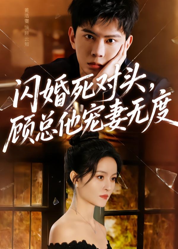 闪婚死对头顾总他宠妻无度-现代言情海报