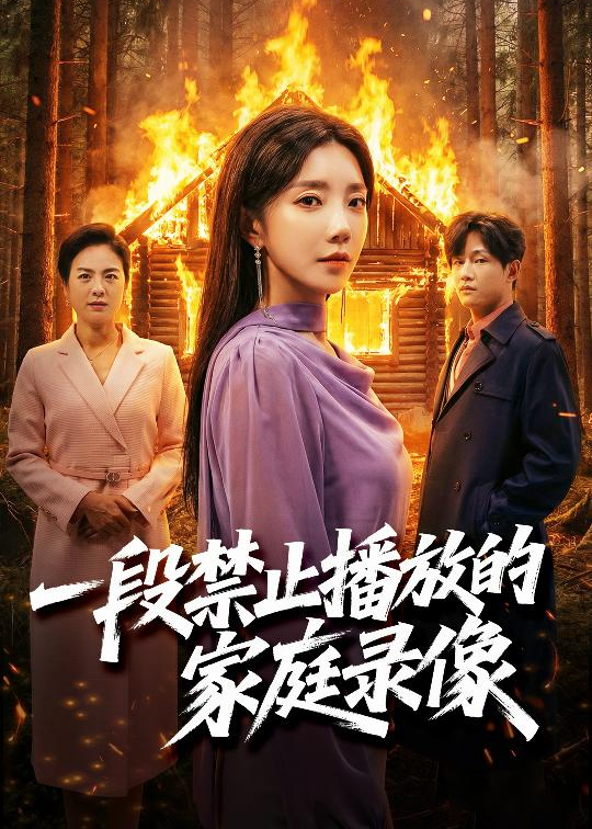 一段禁止播放的家庭录像-都市悬疑海报