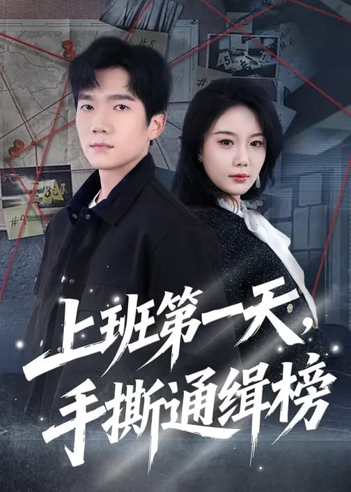 上班第一天手撕通缉榜-都市日常海报