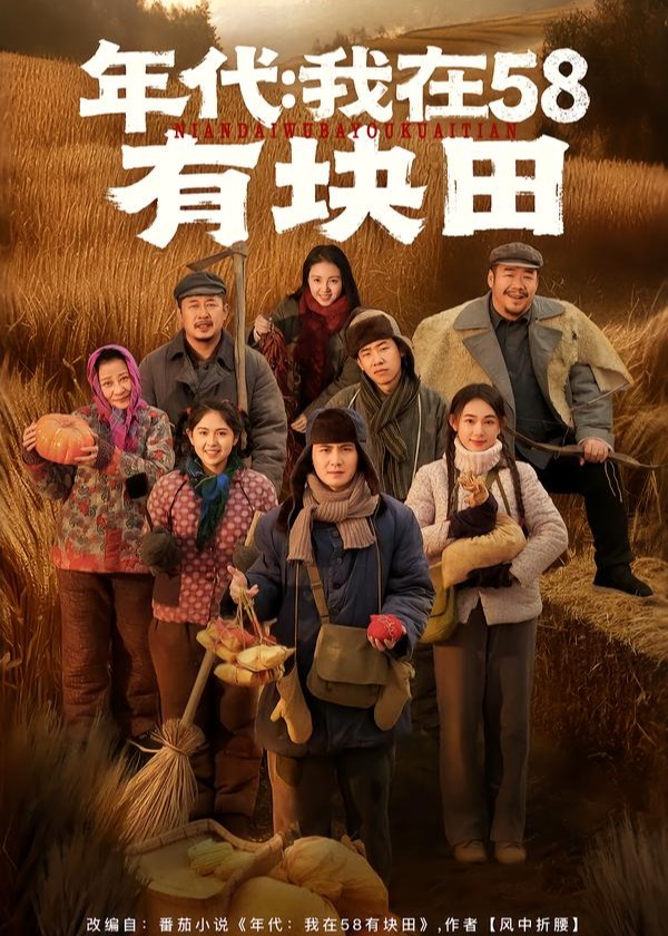 年代我在58有块田-重生穿越海报