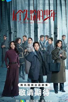五个失踪的少年海报