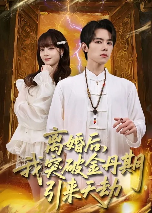 离婚后我突破金丹期引来天劫-奇幻异能海报