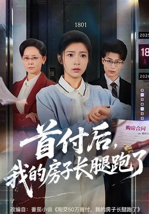 首付后我的房子长腿跑了-都市日常海报