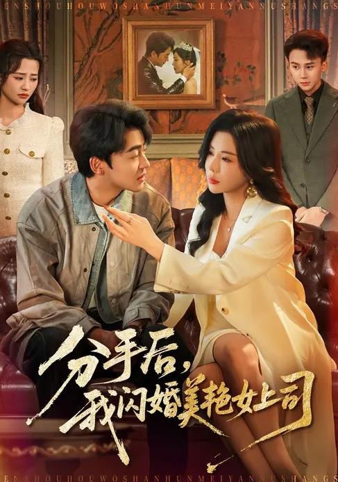 分手后我闪婚美艳女上司-都市言情