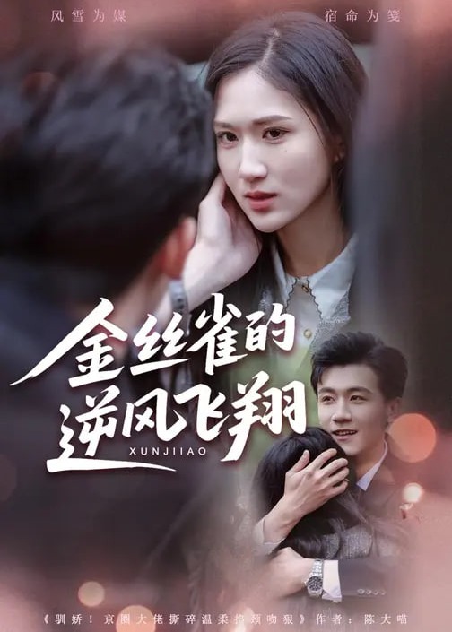 金丝雀的逆风飞翔-现代甜蜜