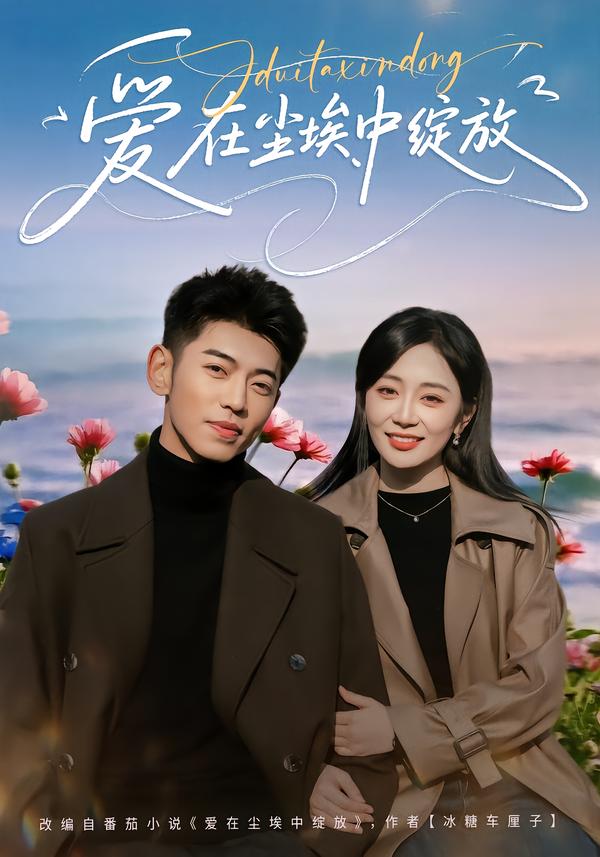 爱在尘埃中绽放-都市言情