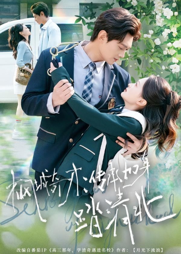 枫城奇才传承加身踏清北-都市情感