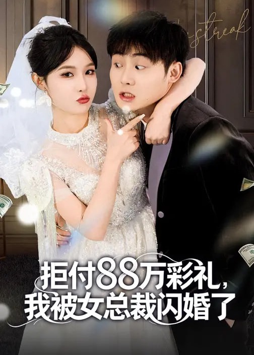 拒付88万彩礼我被女总裁闪婚了-现代甜蜜
