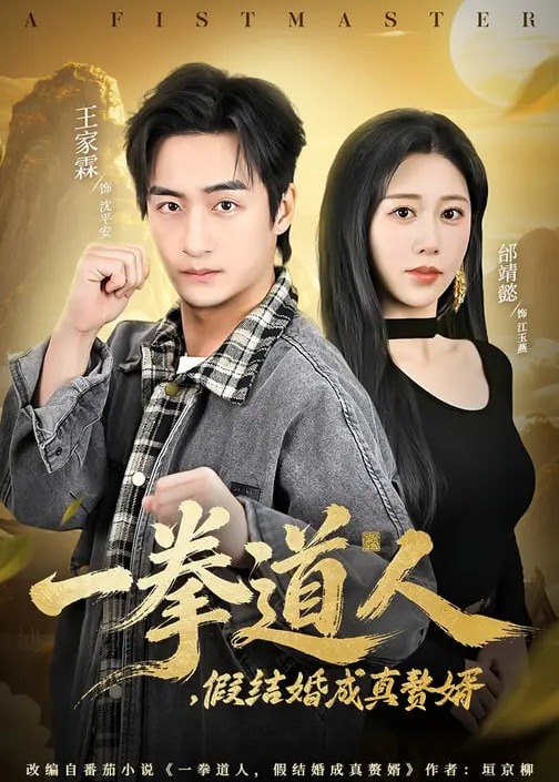 一拳道人假结婚成真赘婿-强者归来海报