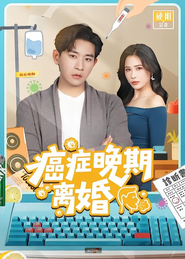 癌症晚期离婚-都市情感海报