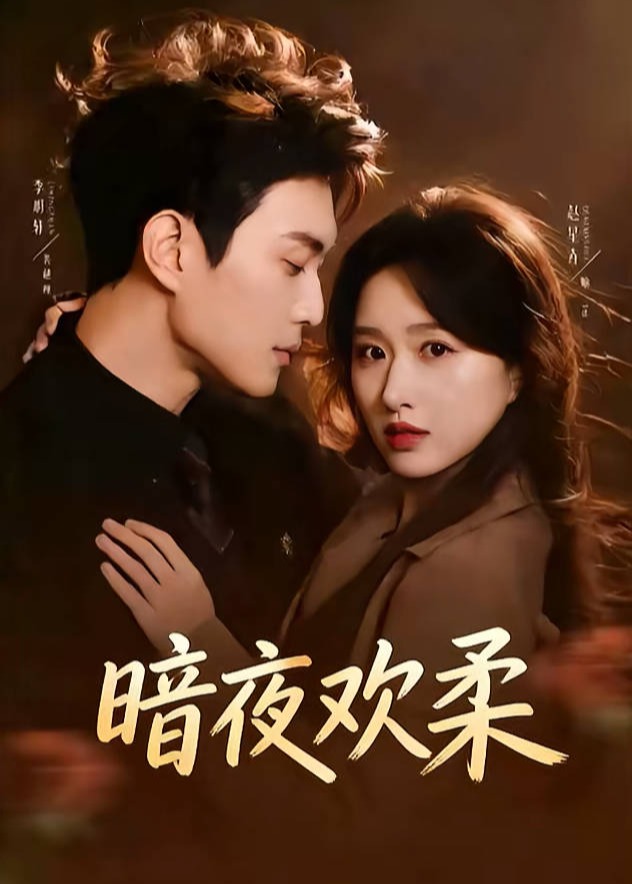 暗夜欢柔-都市言情