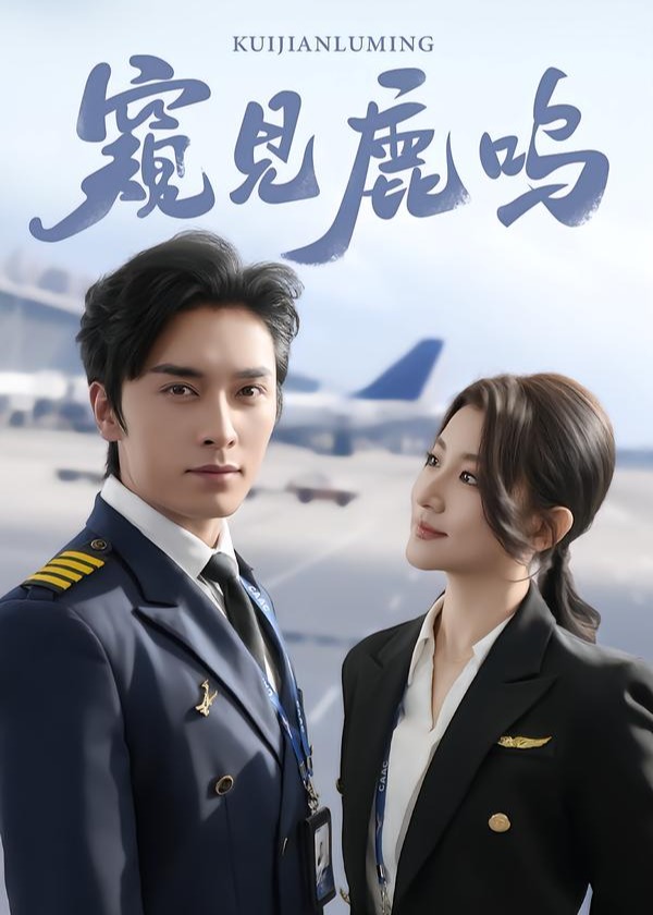 窥见鹿鸣-都市言情