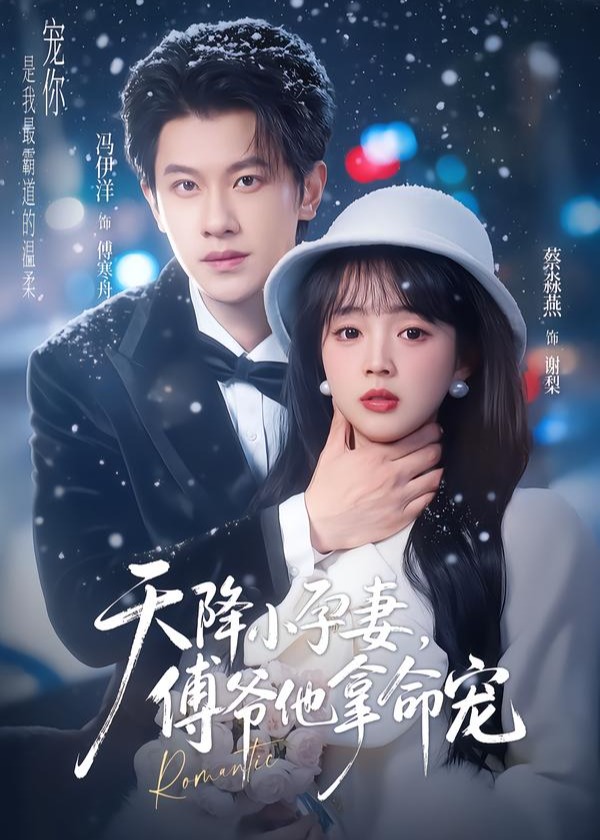 天降小孕妻傅爷他拿命宠-都市甜宠