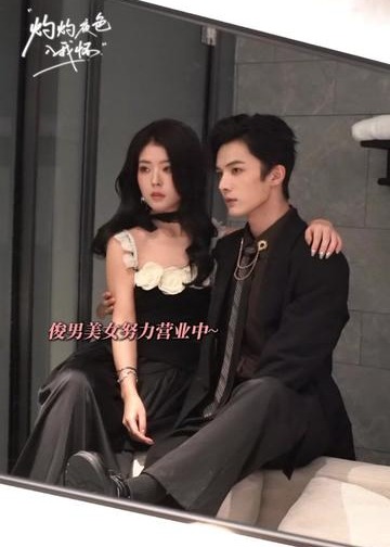 灼灼夜色入我怀-现代重生